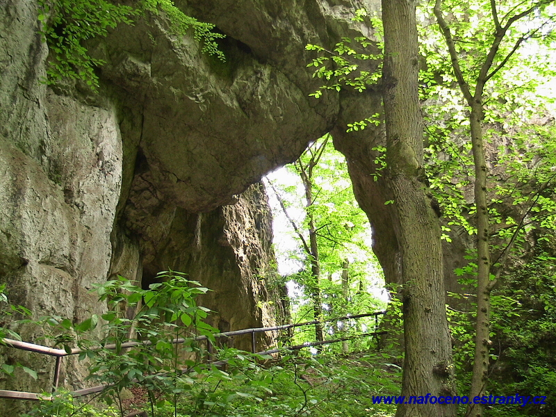 NS Špraněk a Chudobín 2008_06_23_017.jpg