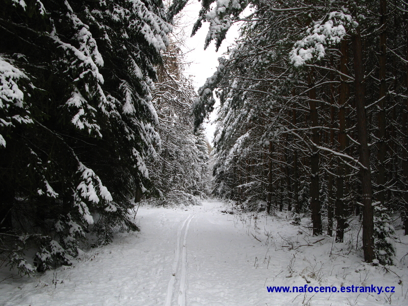 V Tršicích 2009_02_14 009.JPG