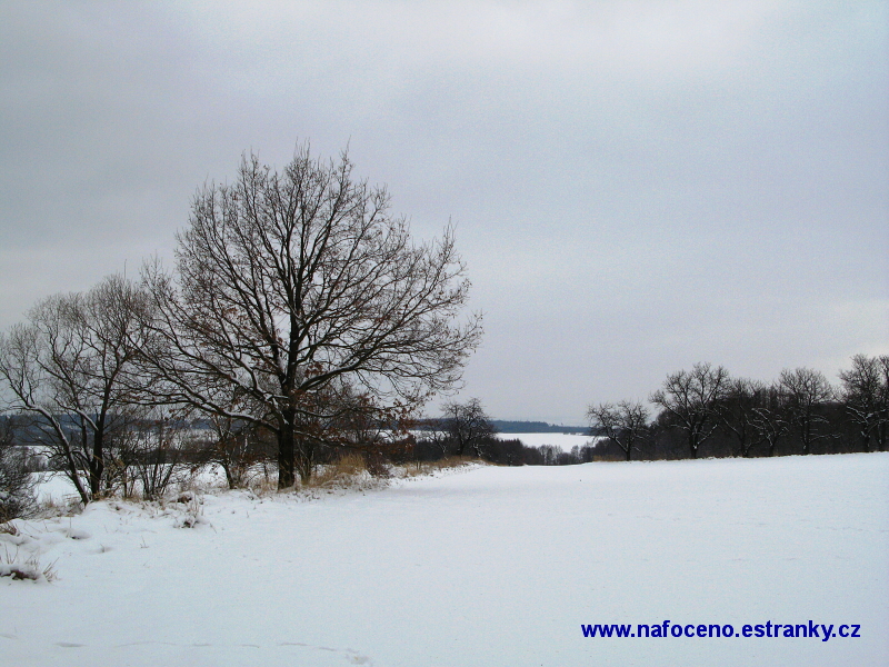 V Tršicích 2009_02_14 013.JPG