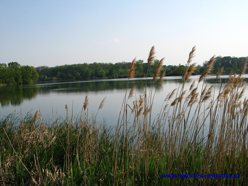 NS Okolo Chropyně 2009_05_03 019.JPG