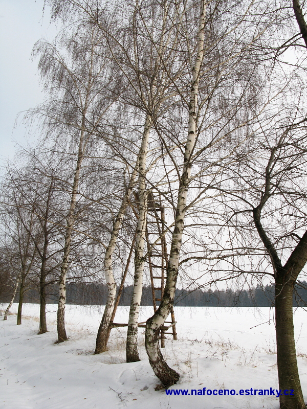 Tršice 2010_02_07 001 .JPG