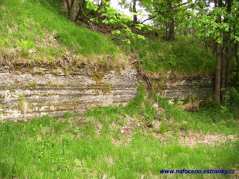 Bruntál - Slezská Harta 2008_05_17_022.jpg